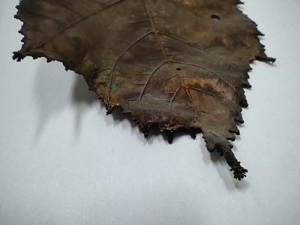 Виды брака в гальванике. Пригар